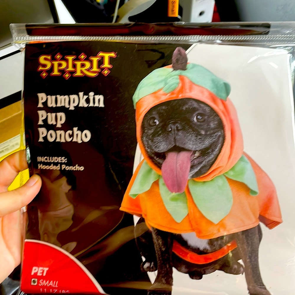 Halloween Pumpkin 🎃 🐶 Pup poncho Custom
